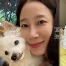 팜랜드동물병원 이미지