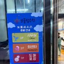 보물섬횟집 | 대전 구암동 횟집 보물섬수산 쭈꾸미 샤브샤브 - 내돈내산 솔직후기