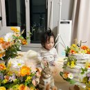 이제 나도 돌끝맘이다 : 반포 세빛섬 채빛퀴진 돌잔치 후기