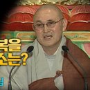 가람법의의원 네이버블로그