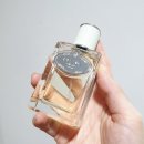 레스디