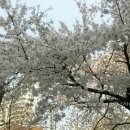 예쁘다, 봄