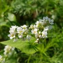 청계산로1-19 이미지