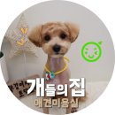 개들의 집 펫살롱 이미지