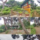 신신각 이미지