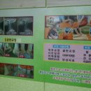 와포테라피 네이버블로그