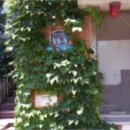 원적로269번길 이미지