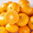 보신농장 이미지