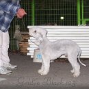 골든블랙123 이미지