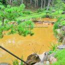 용문산야생화마을 이미지