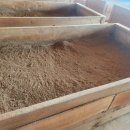 자갈치효소편백원 이미지