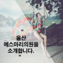 에스마리의원 이미지