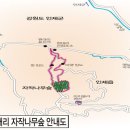 자작나무힐 이미지