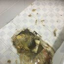 하수구배관막힘