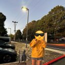 코끼리주유소 | 모뉴먼트밸리 지프투어 후기·꿀팁 | 그랜드서클 2박 3일 줌줌투어 필수 코스
