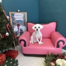 영대동물병원 이미지