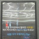배트케이브송파손세차 | 배트케이브 잠실점 유막제거 및 발수코팅 손세차 후기