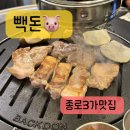5342 | 종로3가맛집 삼겹살맛집 빽돈 종로3가점 후기