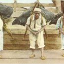 김구백이 이미지