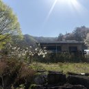 산과물이만나는곳 | [충주 맛집/카페] 충주호 뷰 끝판왕, '산과 물이 만나는 곳' 솔직 후기