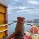 정읍천이동화장실12 | 오키나와 12월 여행 다녀온 후기 (4) 셋째 날 북부. 만좌모, 쿄우리 대교, 츄라우미 수족관 등