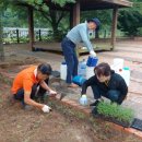 자연대로 이미지