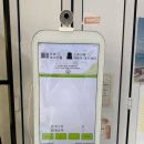 남영로-1 | 진해 남문 무인 소품샵 데이지 구경! 내돈내산 솔직 후기