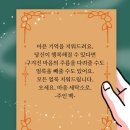 힐링세탁소 이미지