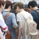 푸치푸치 이미지