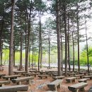 국립유명산자연휴양림 이미지