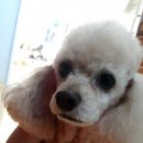 구리휴게소 이미지