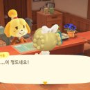 카페 꼬미꼬미 이미지