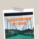 조일프라자골프클럽 이미지