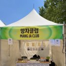 디엠지 | [강원/철원] 2026 디엠지 피스트레인 페스티벌 후기 🚂🕊️