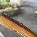 왕방리사랑채 이미지