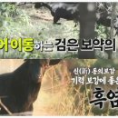 민들레흑염소농장 이미지