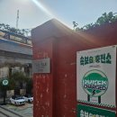 (주)매일원색