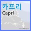 킹덤게스트하우스 이미지