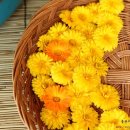 꽃차 힐링 테라피 이미지