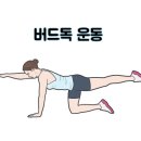 파크짐 이미지