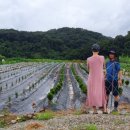 유계리 농장 이미지