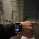 1345 | [도쿄 일상+1345日] 아름다운 밤하늘 별무리는 유리알처럼