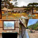 [울산 동구] 울산 주전 정자 아름다운 정원 카페 ‘구유림’ _강아지동반가능