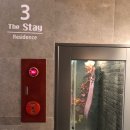 더스테이신사