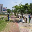 탕정면 삼성로 이미지