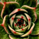 꿈의궁전 이미지