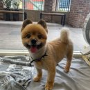 신원동-14 이미지