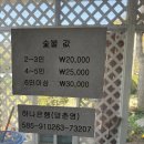 강화도하이맘키즈스파펜션 옐로 네이버블로그