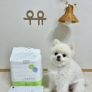 시 창작 공작소 이미지