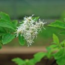 방주환경자원 이미지